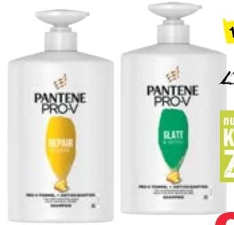Maximarkt Shampoo Angebot