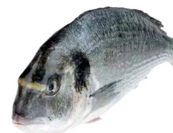 Transgourmet Goldbrasse Angebot