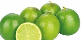 Transgourmet Limetten Angebot