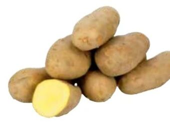 Transgourmet Kartoffeln Angebot