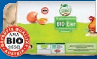 Lidl Bio-eier Angebot