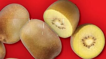 Lidl Kiwi gold Angebot