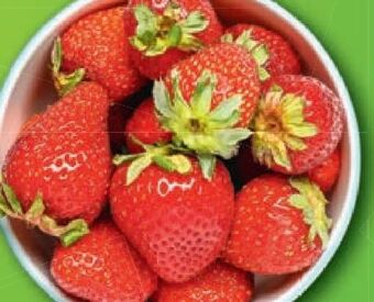 Lidl Erdbeeren Angebot