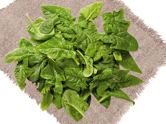 Lidl Spinat Angebot