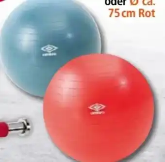 Norma Fitness-gymnastikball Angebot