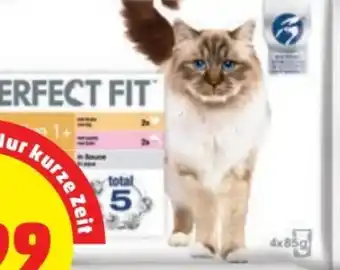 PENNY Katzenfutter Angebot