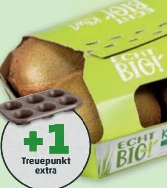 PENNY Kiwi Angebot