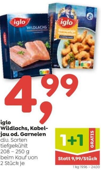 ADEG iglo Wildlachs, Kabeljau od. Garnelen 208-250 g Angebot