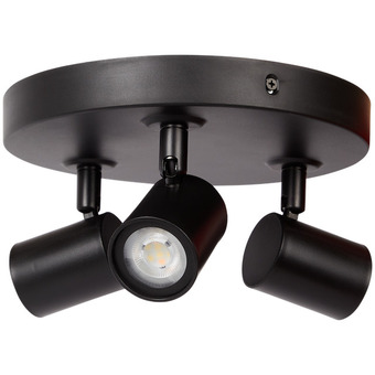 Action Eurodomest aufbauspots Angebot