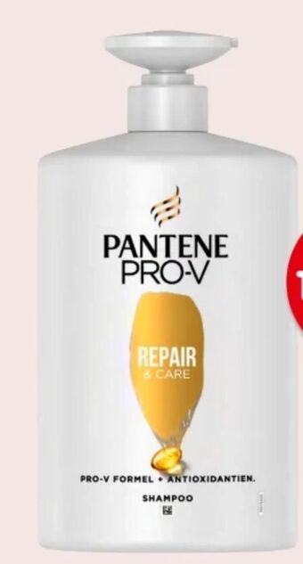 Interspar Shampoo Angebot