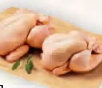 Billa Hendl bratfertig Angebot