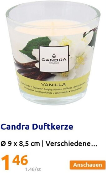 Action Candra Duftkerze ø 9 x 8,5 cm Angebot
