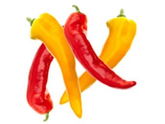 Lidl Spitzpaprika mix Angebot
