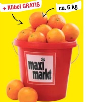 Maximarkt Orangen Angebot