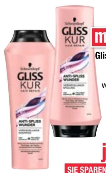 Maximarkt Gliss kur shampoo Angebot