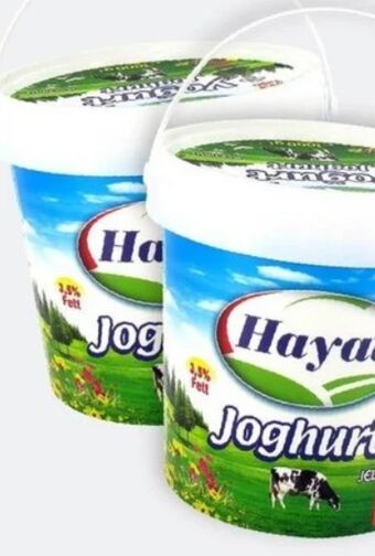 ETSAN Joghurt Angebot