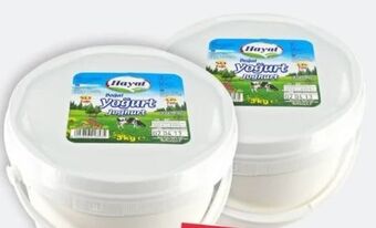 ETSAN Joghurt Angebot