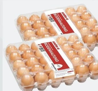 ETSAN Eier Angebot