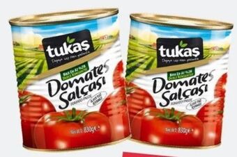 ETSAN Tomatenmark Angebot