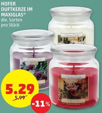 PENNY Hofer Duftkerze Im Maxiglas Angebot