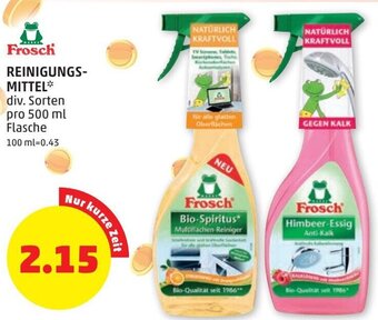 PENNY Frosch Reinigungsmittel 500 ml Angebot
