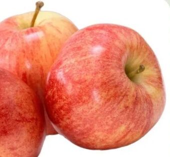 ETSAN Äpfel gala Angebot