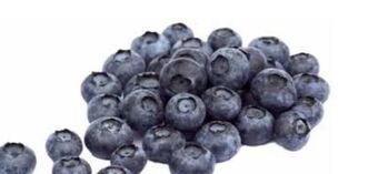 Transgourmet Heidelbeeren Angebot