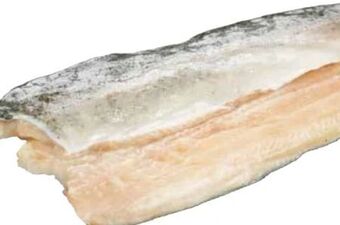 Transgourmet Forellenfilet Angebot