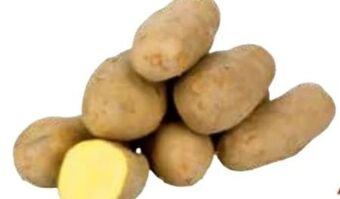 Transgourmet Kartoffeln Angebot
