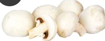 Transgourmet Champignons Angebot
