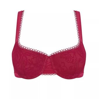 Triumph Velvet rose spotlight Angebot