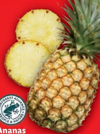 Lidl Ananas Angebot