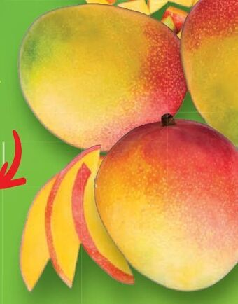 Lidl Mango Angebot
