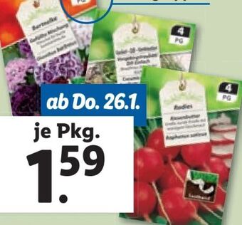 Lidl Premium sämereien Angebot
