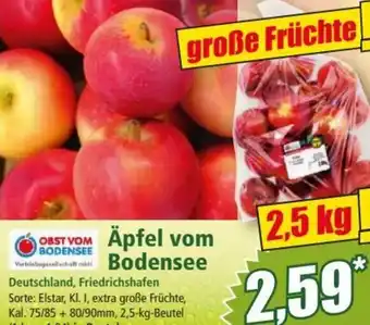 Norma Äpfel vom Bodensee 2,5kg Angebot