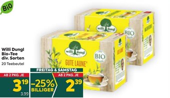 Billa Willi Dungl Bio-Tee div. Sorten Angebot