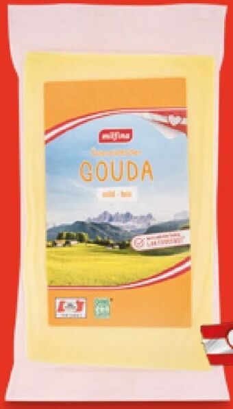 Hofer Gouda Angebot