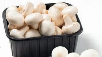 Billa Champignons Angebot