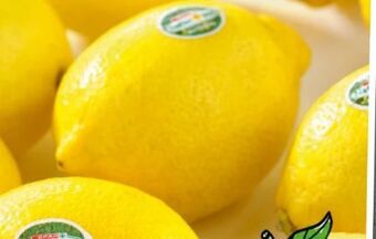 Spar Bio-zitronen Angebot