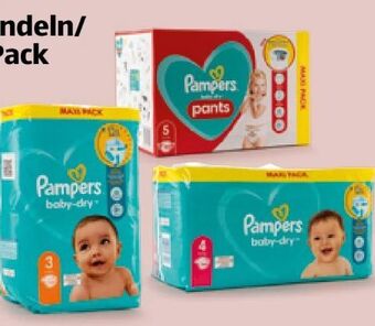 Hofer Baby-dry windeln Angebot