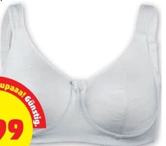 PENNY Damen bhs Angebot