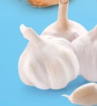 Hofer Knoblauch Angebot