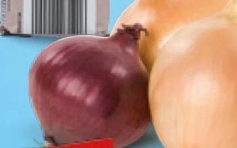 Hofer Zwiebeln Angebot