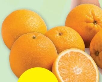 PENNY Orangen Angebot