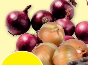 PENNY Zwiebeln Angebot
