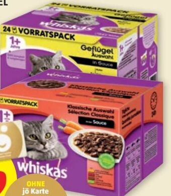 PENNY Katzenfutter frischebeutel Angebot