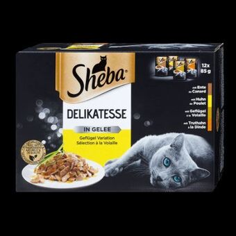 dm Katzenfutter-beutel Angebot
