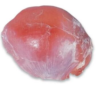 Metro Kalbs nuss Angebot