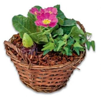 Metro Frühjahrs korb Angebot