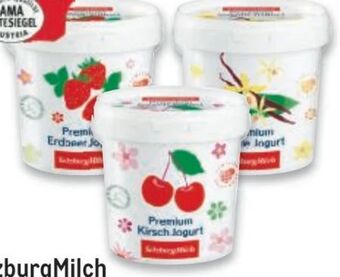 Metro Premium fruchtjoghurt Angebot